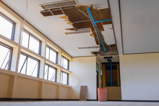 Best Flooded house restoration  in Newtown, OH