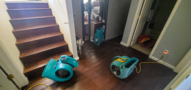 Best Residential water damage restoration  in Newtown, OH