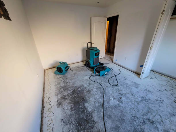 Best Water damage restoration cost  in Newtown, OH