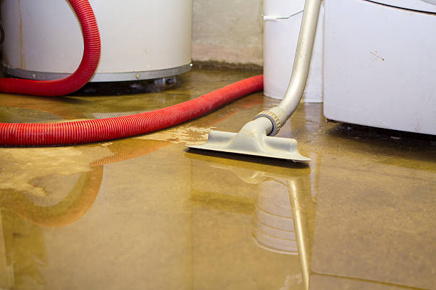 Best Water damage restoration near me  in Newtown, OH