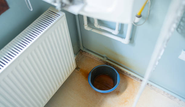Best Water damage contractors near me  in Newtown, OH