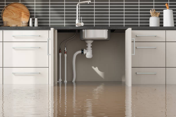 Carpet water damage restoration in OH