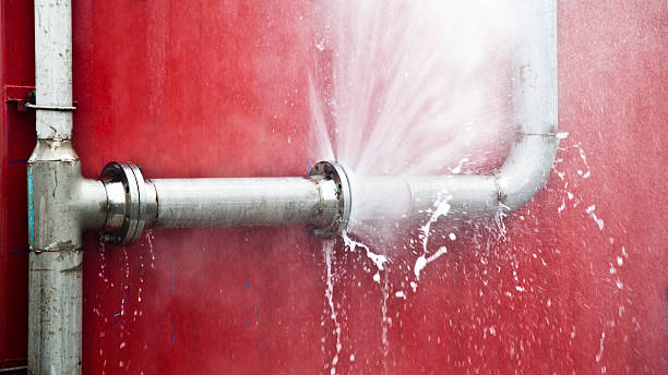 Best 24-hour water damage restoration  in Newtown, OH