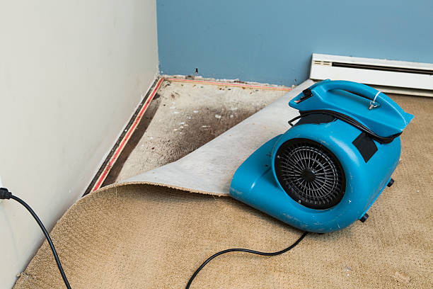 Best Commercial water damage restoration  in Newtown, OH